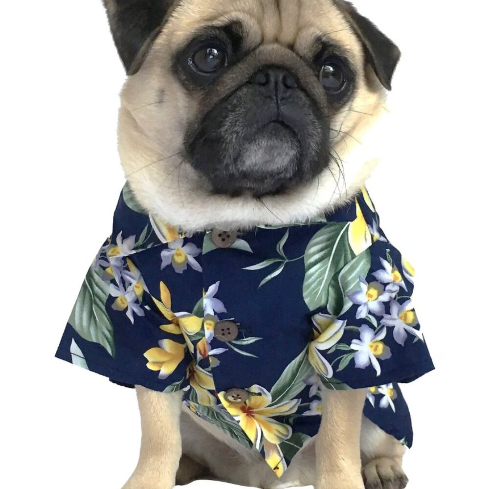 New Dog Threads Hawaiian Blue Yellow Floral Orchid Shirt Top Size Small 11" Long
